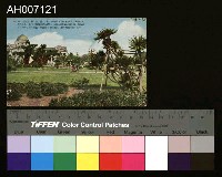 藏品(臺北新公園及博物館明信片)的圖片